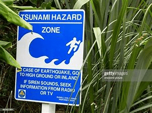 Tsunami today new zealand
